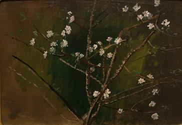 Fioritura